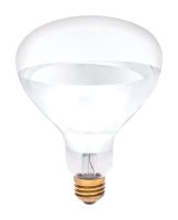 (image for) 250 watt R40 Reflector Incandescent Bulb E26 (Mediu