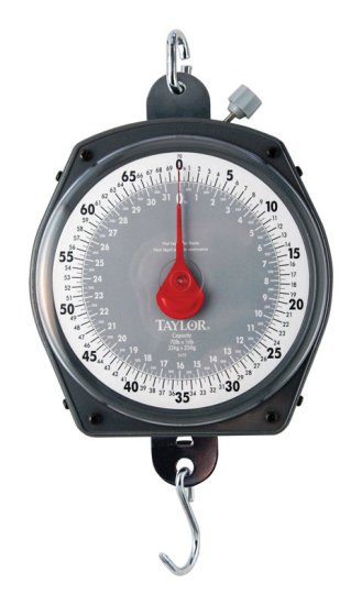 (image for) Silver Analog Hanging Scale 70 lb.