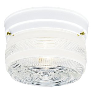 (image for) 6-3/4 in. W x 6.75 in. L x 4-1/2 in. H Ceiling Ligh