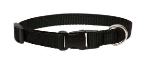 (image for) Lupine Pet Basic Solids Black Black Nylon Dog Adjustable Collar