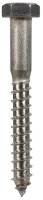 (image for) 3/8 in. x 3 in. L Hex Stainless Steel Lag Screw 25 pk