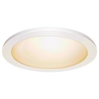 (image for) 11 in. L Frost White LED Flat Panel Light Fixture