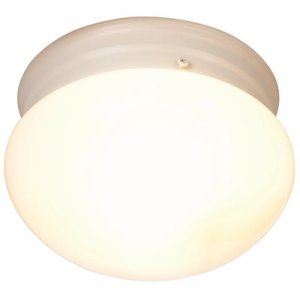 (image for) 7-1/2 in. Decorative Ceiling in Fixture White Uses On