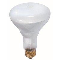 (image for) 65-Watt BR30 Incandescent Light Bulb (1-Bulb)