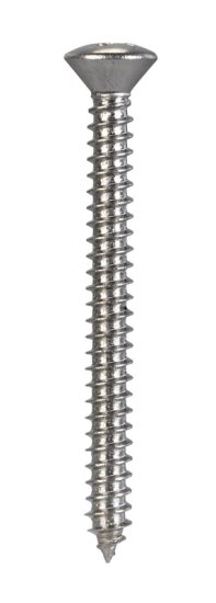 (image for) No. 10 x 2 in. L Phillips Oval Head Stainless Steel Shee