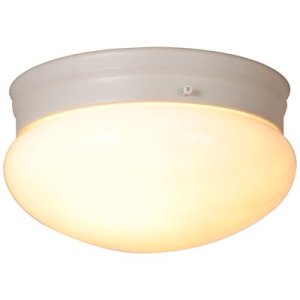(image for) 9.125 in. 2-Light White Flushmount